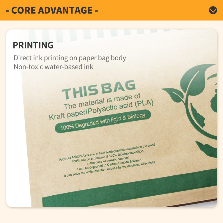 Kraft Paper Bag (53)